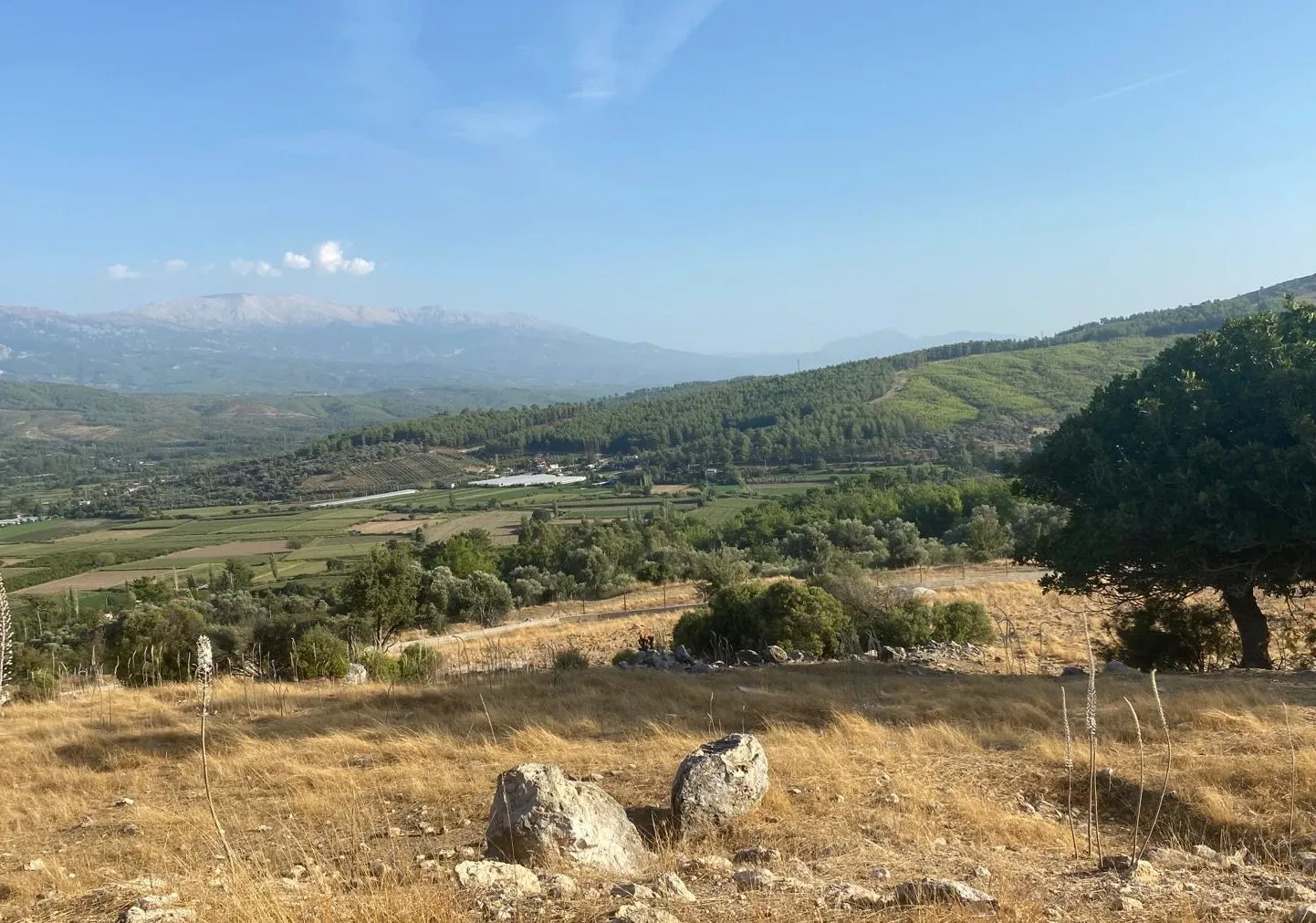 Seydikemer Ortaköyde Doğa Manzaralı 10.656m2 Yatırımlık Tarla