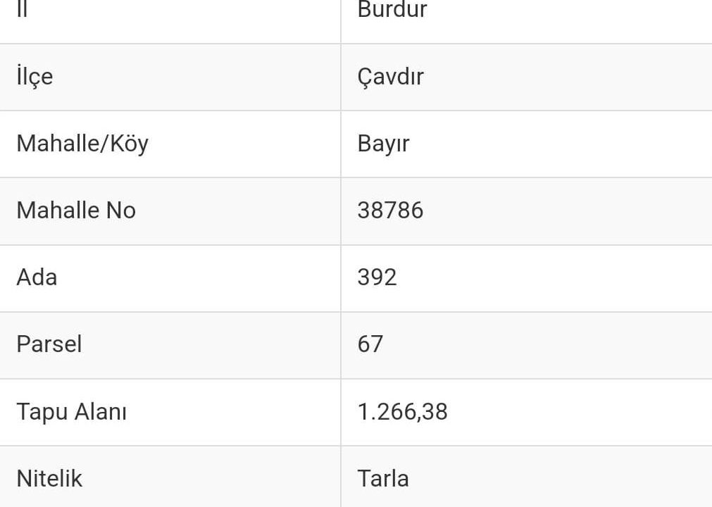 ÇAVDIR BAYIR RESİM 12